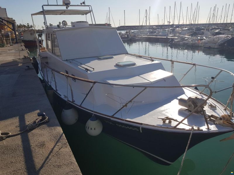Schwarz Imperator 41