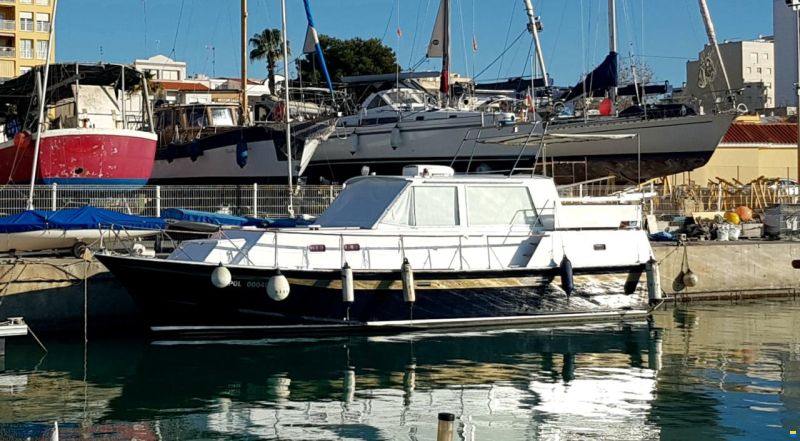 Schwarz Imperator 41