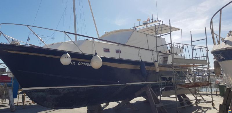 Schwarz Imperator 41