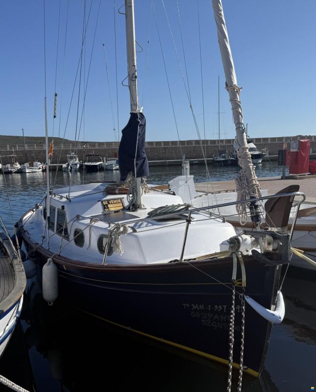 Myabca Delfín 28