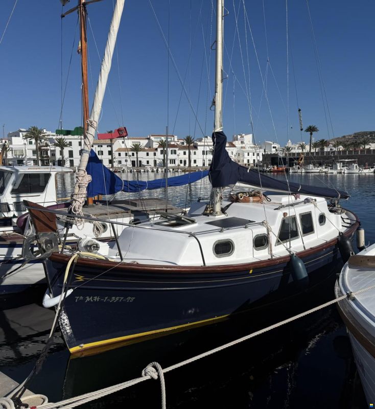 Myabca Delfín 28