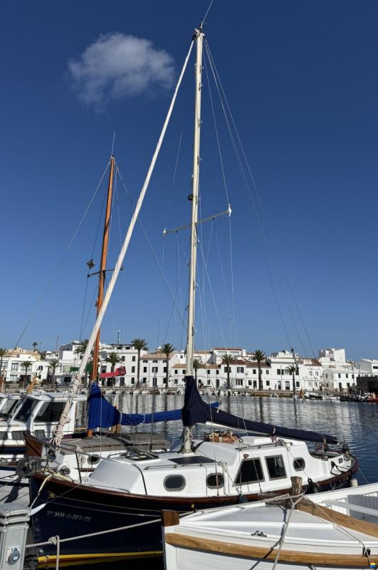Myabca Delfín 28