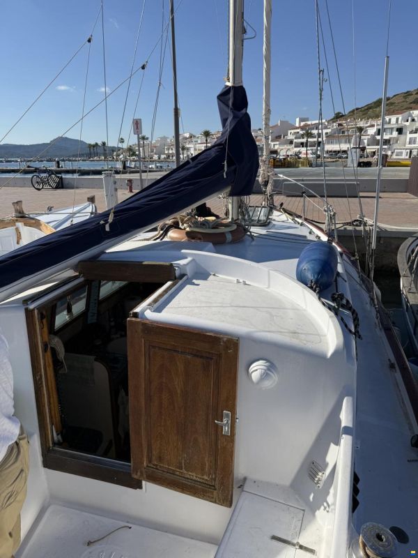 Myabca Delfín 28