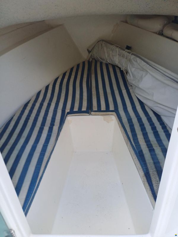 B2 Marine Cap Ferret