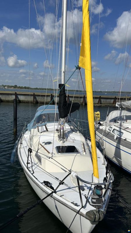 Sabre 27