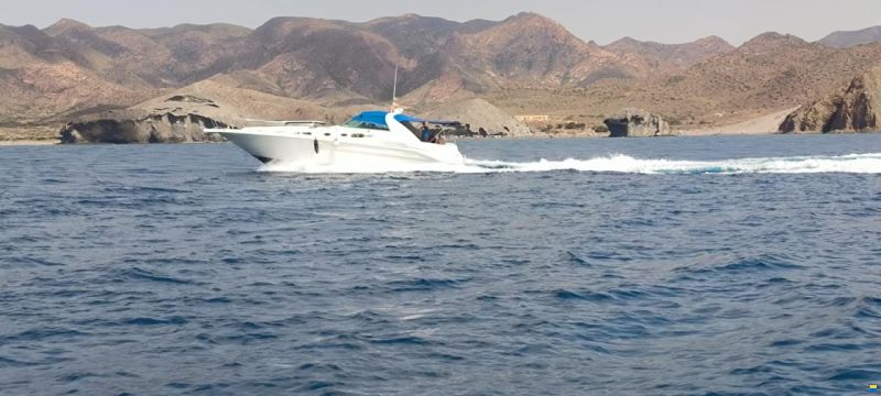 Sea Ray 450 Sundancer