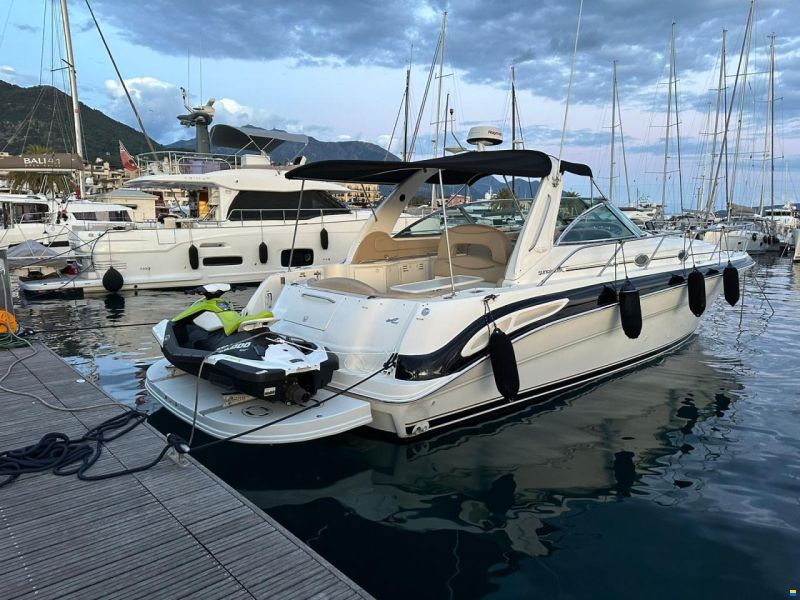 Sea Ray sandenser 410