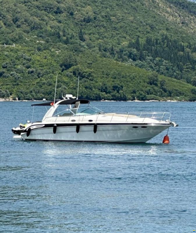Sea Ray sandenser 410