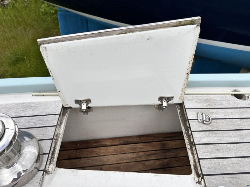 Celeste 36
