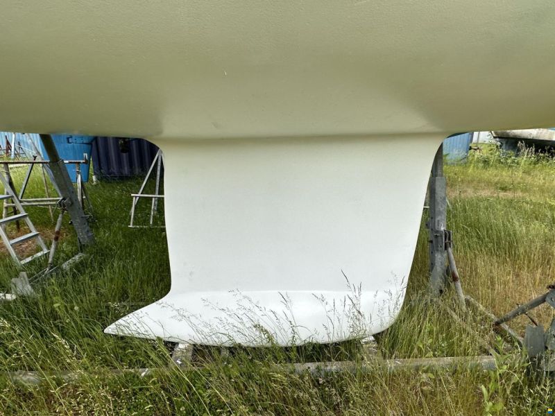 Celeste 36