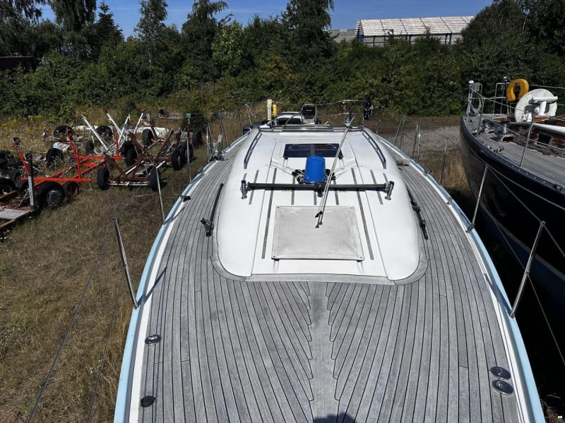 Celeste 36