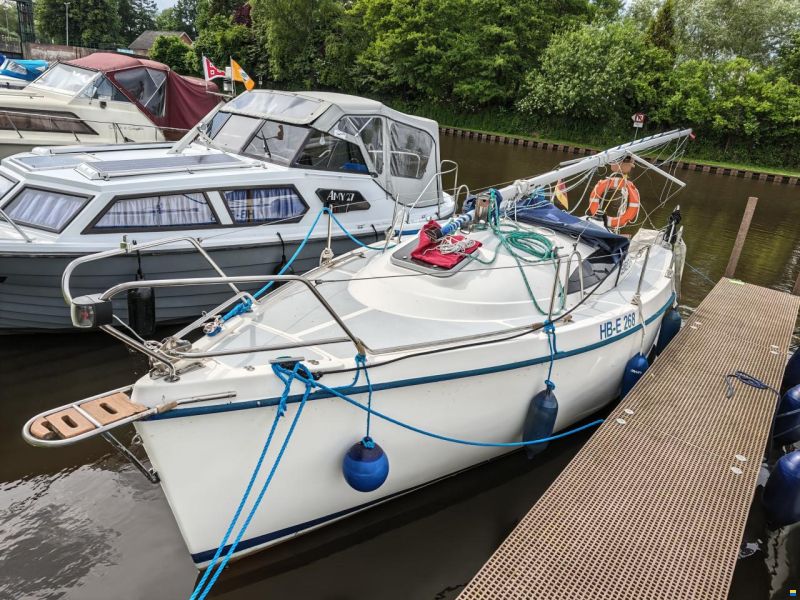 Sasanka 660 Supernova