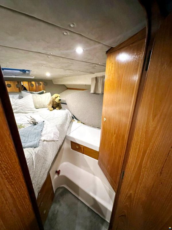 Draco 3400 Zircon Volvo Penta KAD 42