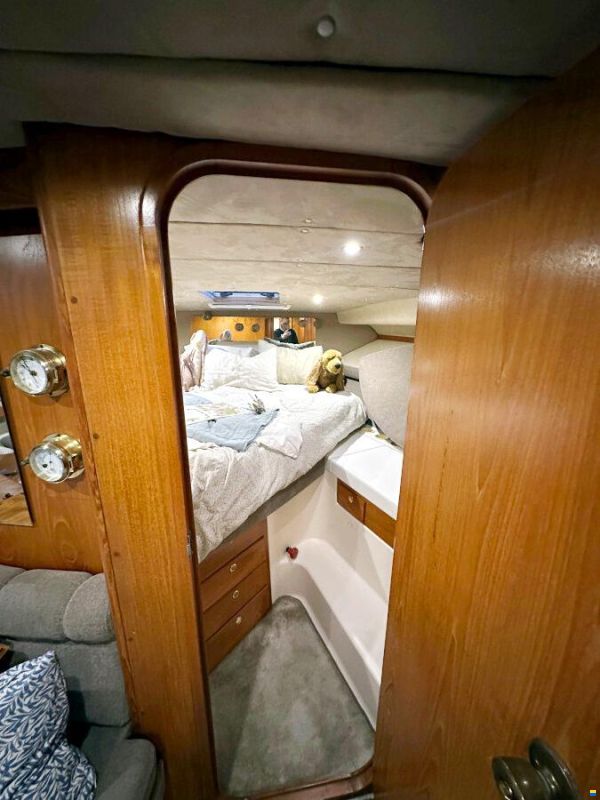 Draco 3400 Zircon Volvo Penta KAD 42