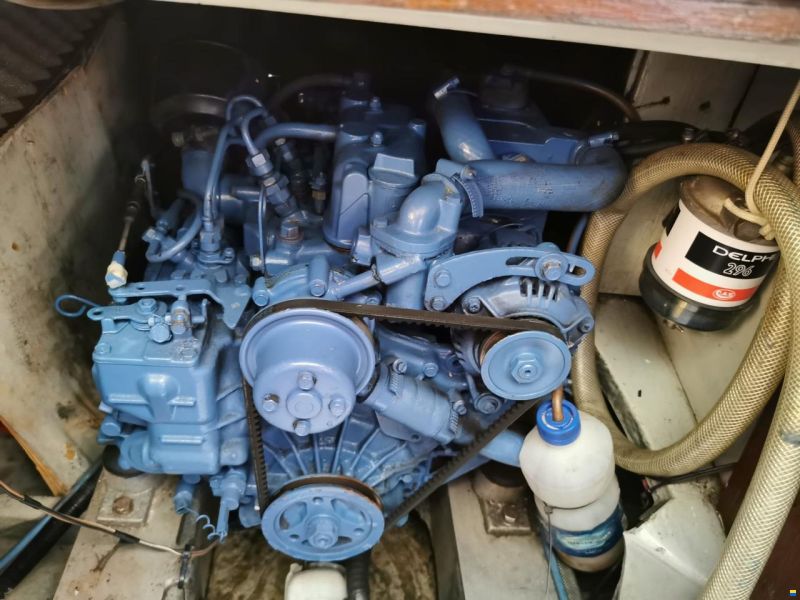 Jaguar 27