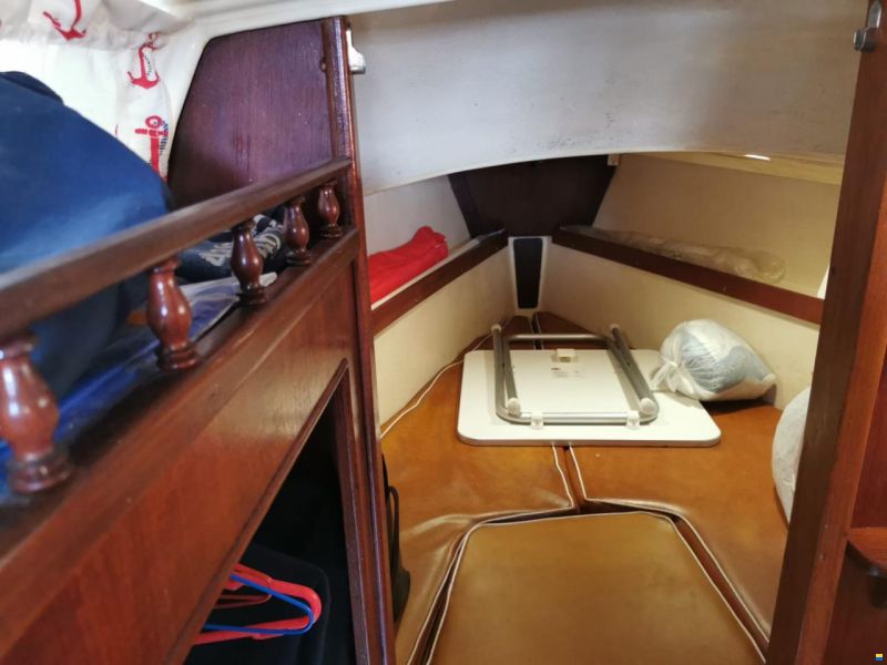 Jaguar 27