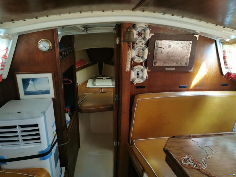 Jaguar 27