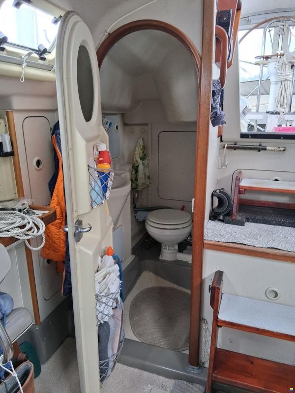 Dehler 34 Nova