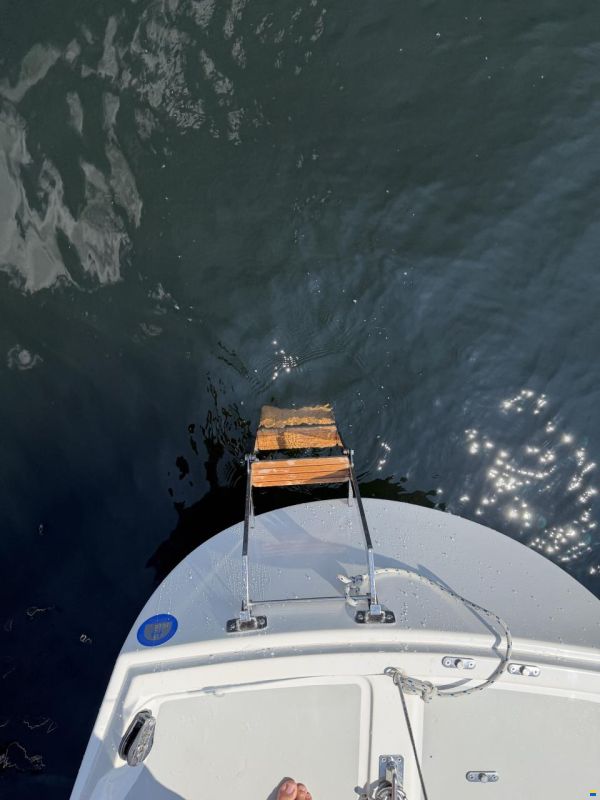 H-Boot Botnia Marin