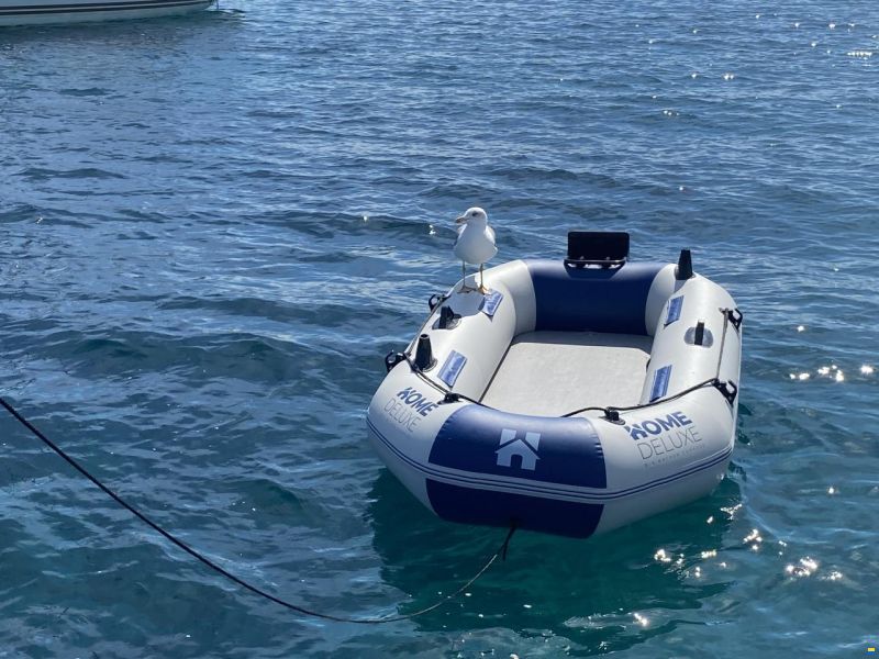 Sciallino 27