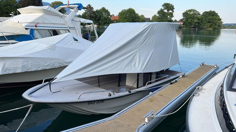 Swiss Cat 18