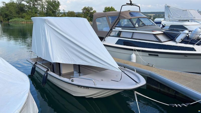 Swiss Cat 18