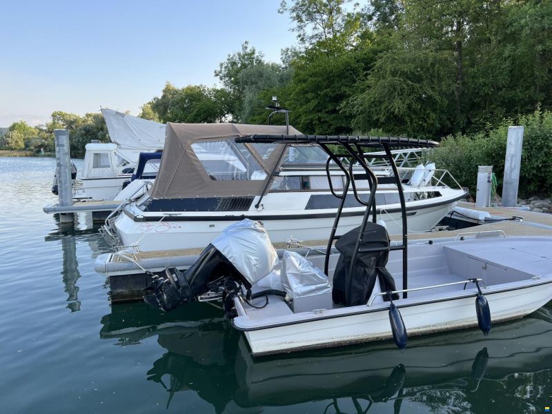 Swiss Cat 18