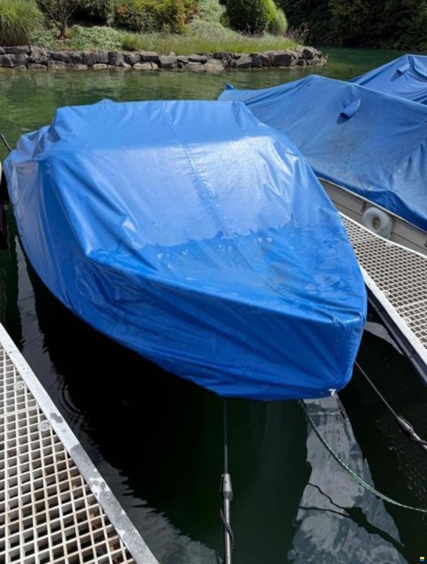 Mistral 45
