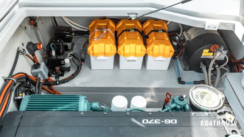 Sargo 31