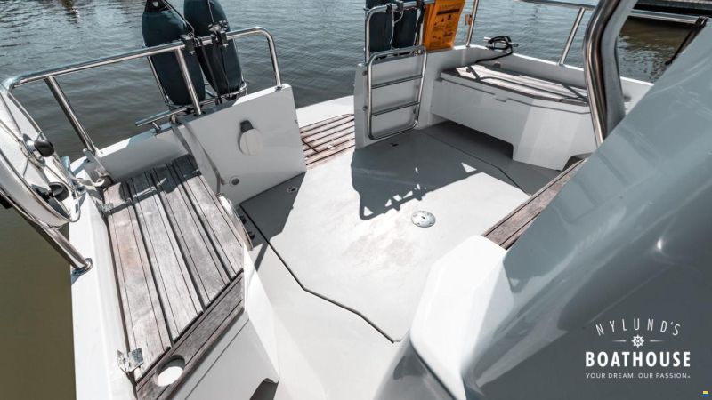 Sargo 31