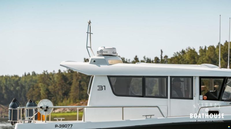 Sargo 31
