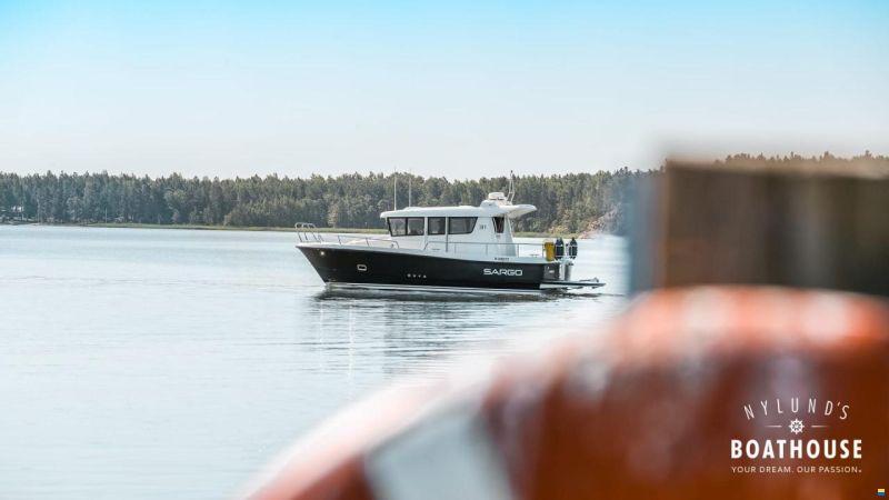 Sargo 31