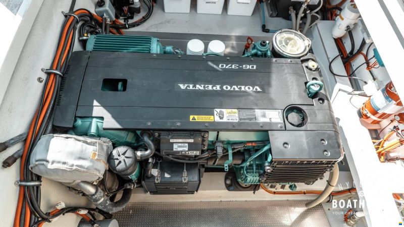 Sargo 31