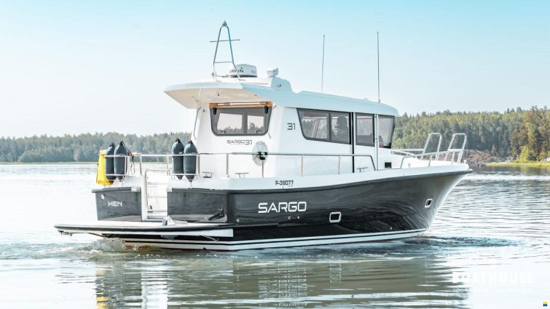 Sargo 31