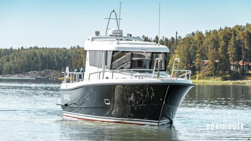Sargo 31