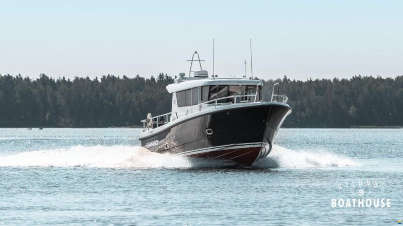 Sargo 31
