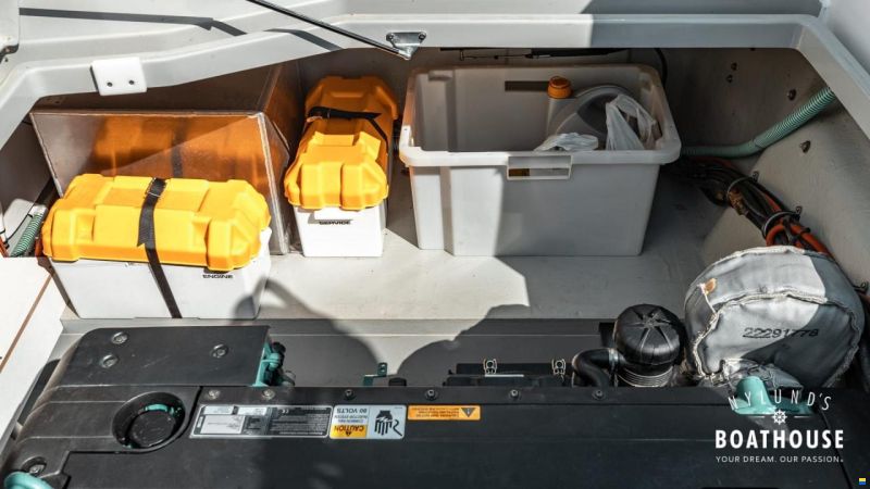 Sargo 31