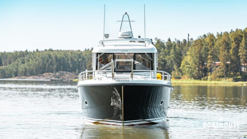 Sargo 31