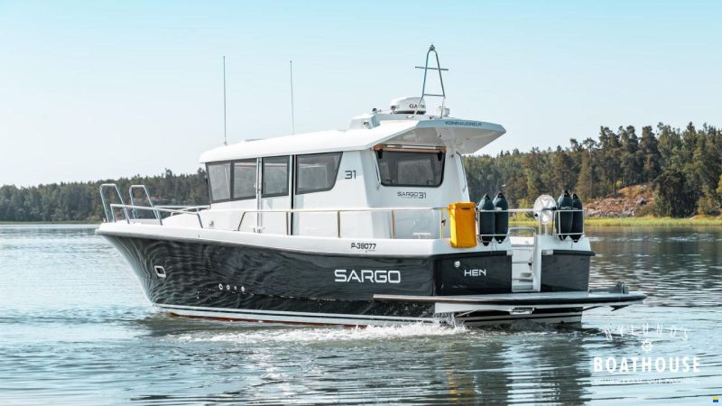 Sargo 31