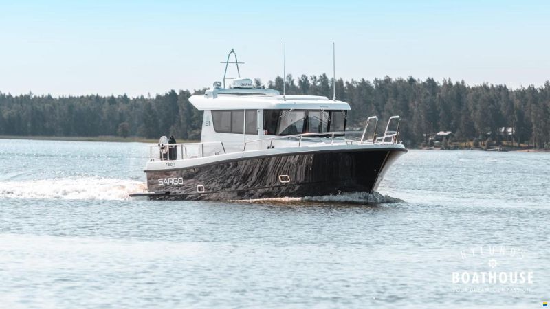 Sargo 31
