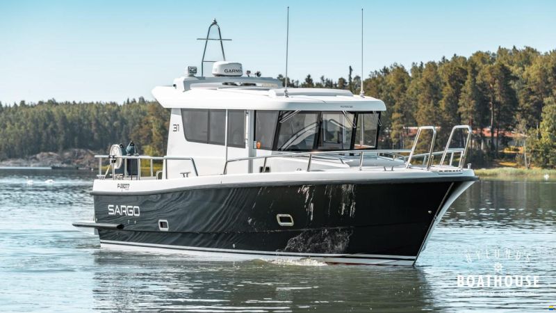 Sargo 31