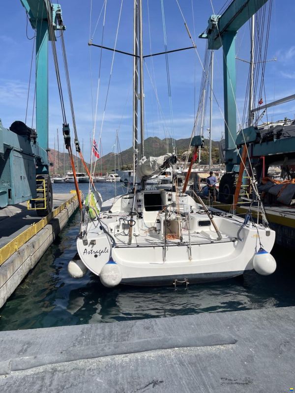 Pogo 40 GTE