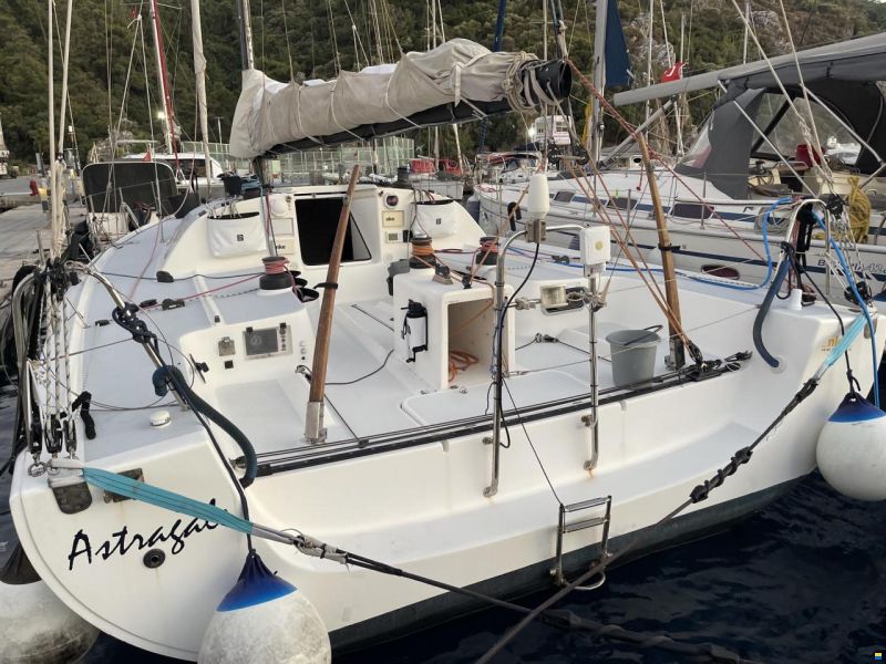 Pogo 40 GTE