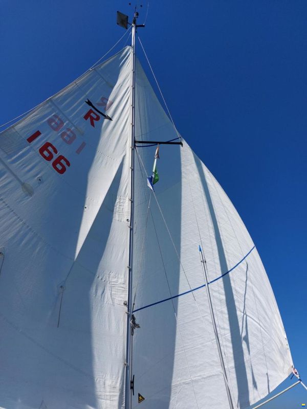 Rethana 25