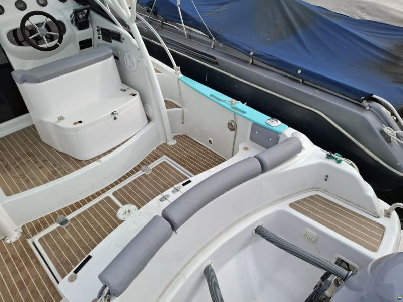 Costa Viola CERION 27.7 WA