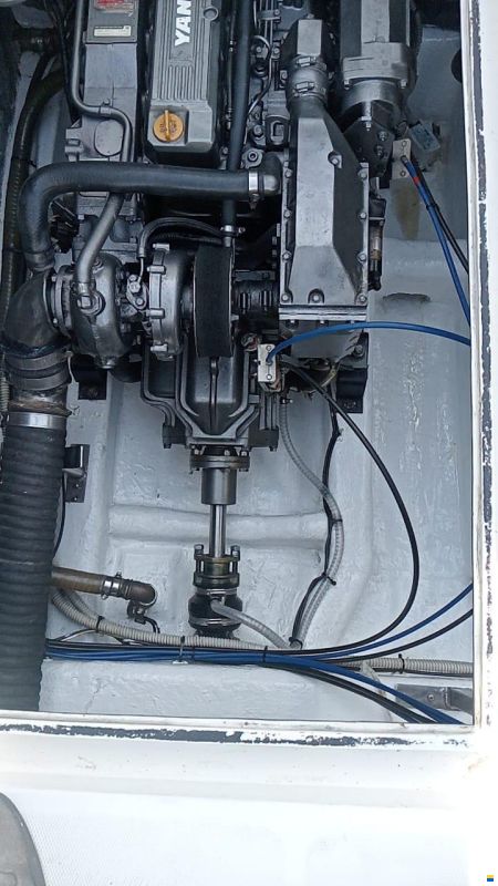 ARS Mare ARS Monaco RS29