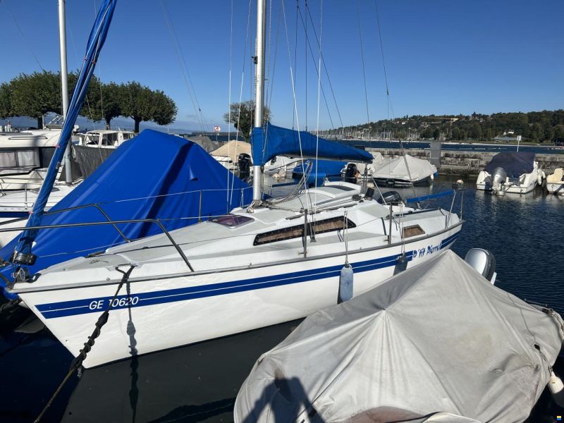 Ultramare Orque 70