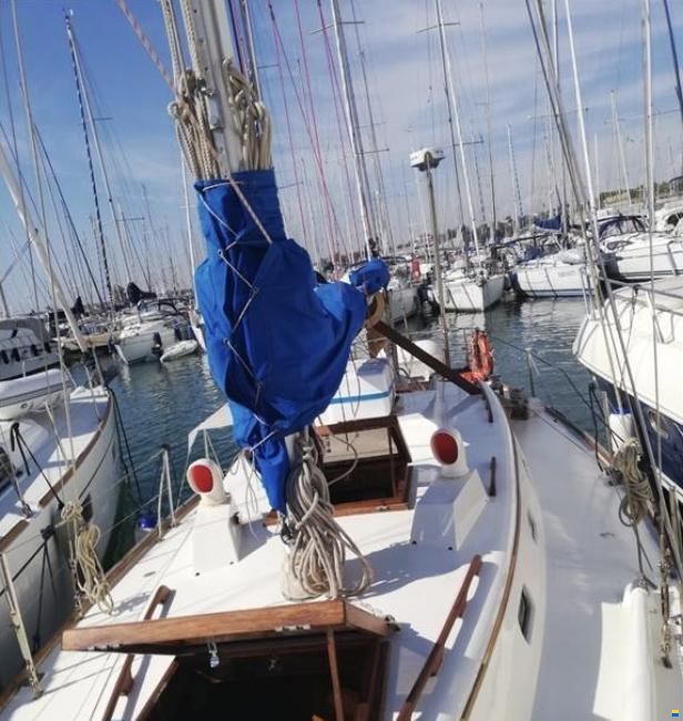Le Comte Northeast 38