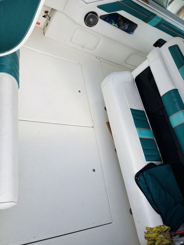 Sea Ray Sundancer 300