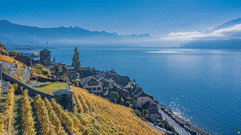 Place de port Léman 13 × 4 m — Riviera V